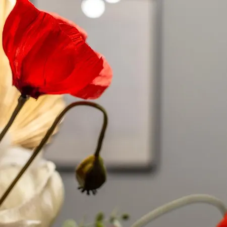 Apartament Il Tocco Di Eva Florencja